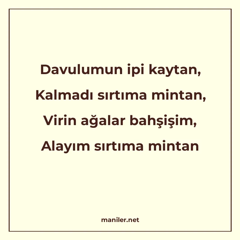 Davulumun ipi kaytan, Kalmadı sırtıma mintan, Virin ağalar b manisi görseli