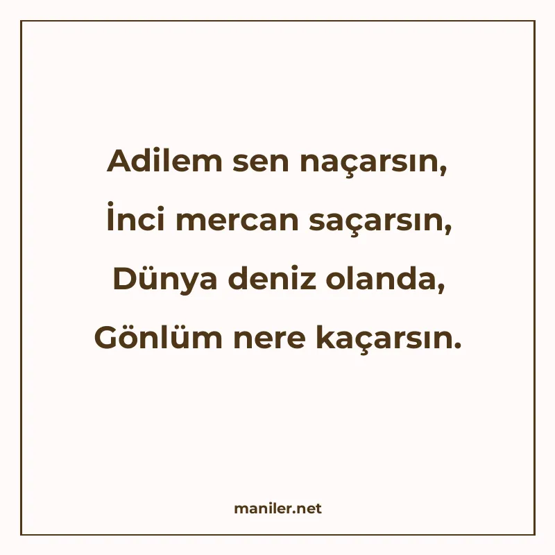 Adilem sen naçarsın, İnci mercan saçarsın, Dünya deniz oland manisi görseli