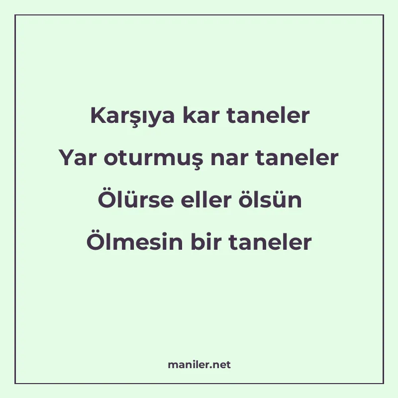 Karşıya kar taneler Yar oturmuş nar taneler Ölürse eller öls manisi görseli