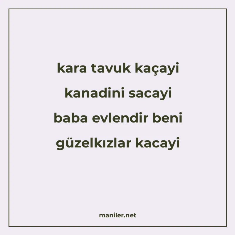 kara tavuk kaçayi kanadini sacayi baba evlendir beni güzelkı manisi görseli