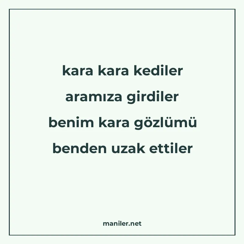 kara kara kediler aramıza girdiler benim kara gözlümü benden manisi görseli