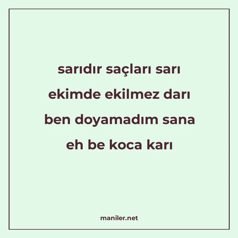 sarıdır saçları sarı ekimde ekilmez darı ben doyamadım sana manisi görseli