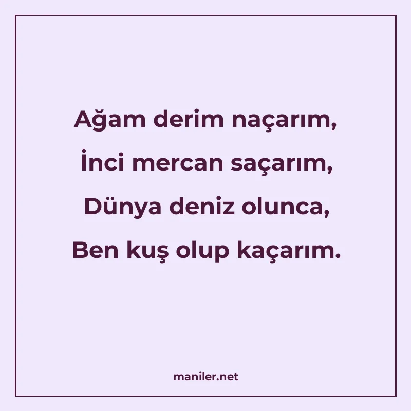 Ağam derim naçarım, İnci mercan saçarım, Dünya deniz olunca manisi görseli