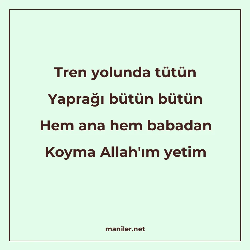 Tren yolunda tütün Yaprağı bütün bütün Hem ana hem babadan K manisi görseli