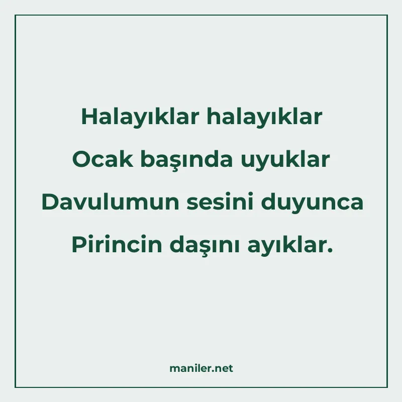 Halayıklar halayıklar Ocak başında uyuklar Davulumun sesini manisi görseli