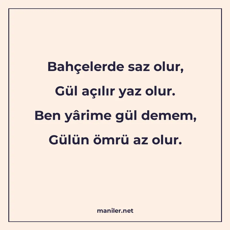 Bahçelerde saz olur, Gül açılır yaz olur. Ben yârime gül dem manisi görseli