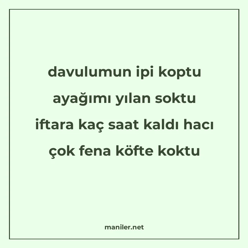 davulumun ipi koptu ayağımı yılan soktu iftara kaç saat kald manisi görseli