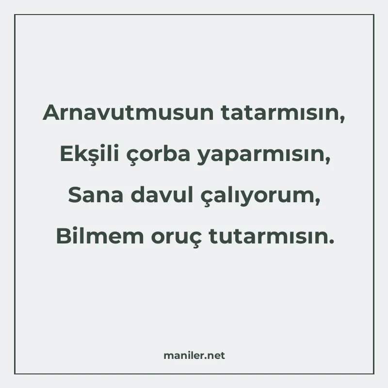 Arnavutmusun tatarmısın, Ekşili çorba yaparmısın, Sana davul manisi görseli
