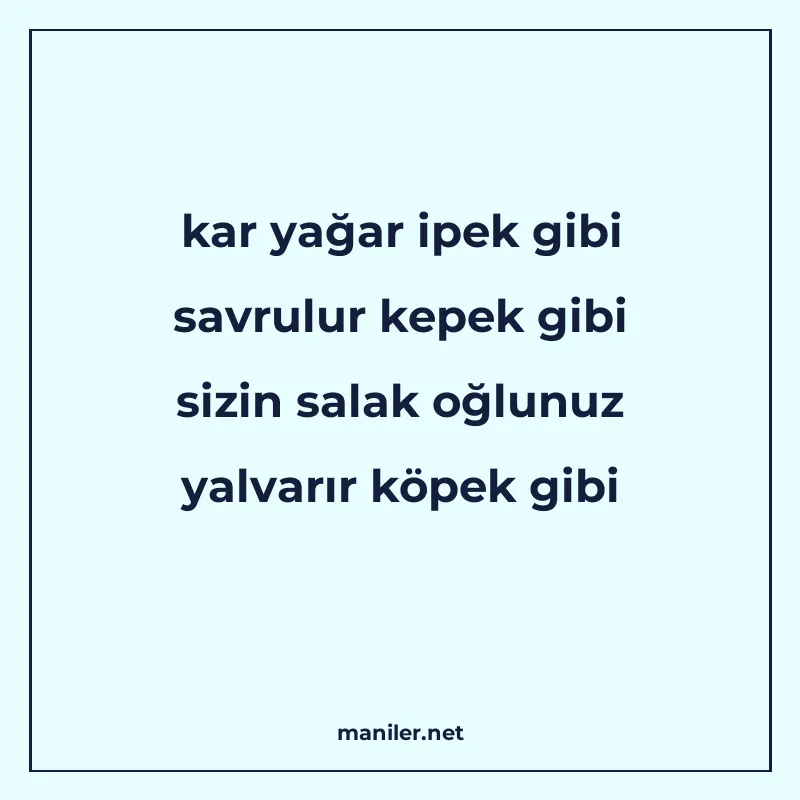 kar yağar ipek gibi savrulur kepek gibi sizin salak oğlunuz manisi görseli