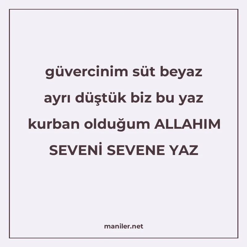 güvercinim süt beyaz ayrı düştük biz bu yaz kurban olduğum A manisi görseli