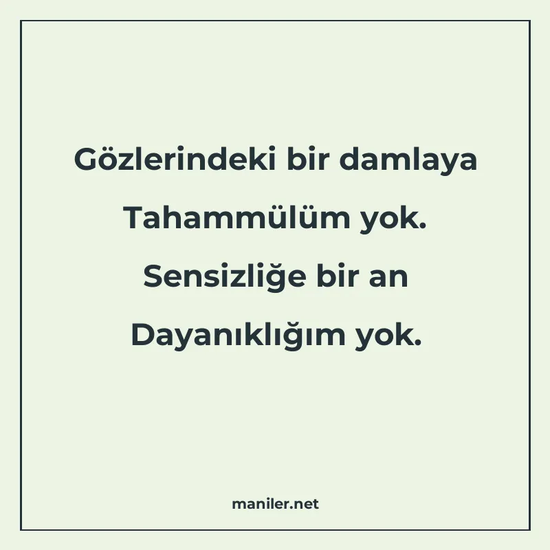 Gözlerindeki bir damlaya Tahammülüm yok. Sensizliğe bir an D