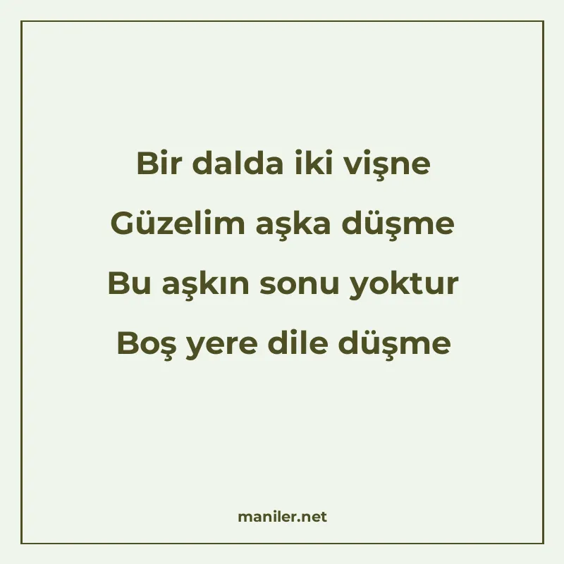 Bir dalda iki vişne Güzelim aşka düşme Bu aşkın sonu yoktur manisi görseli