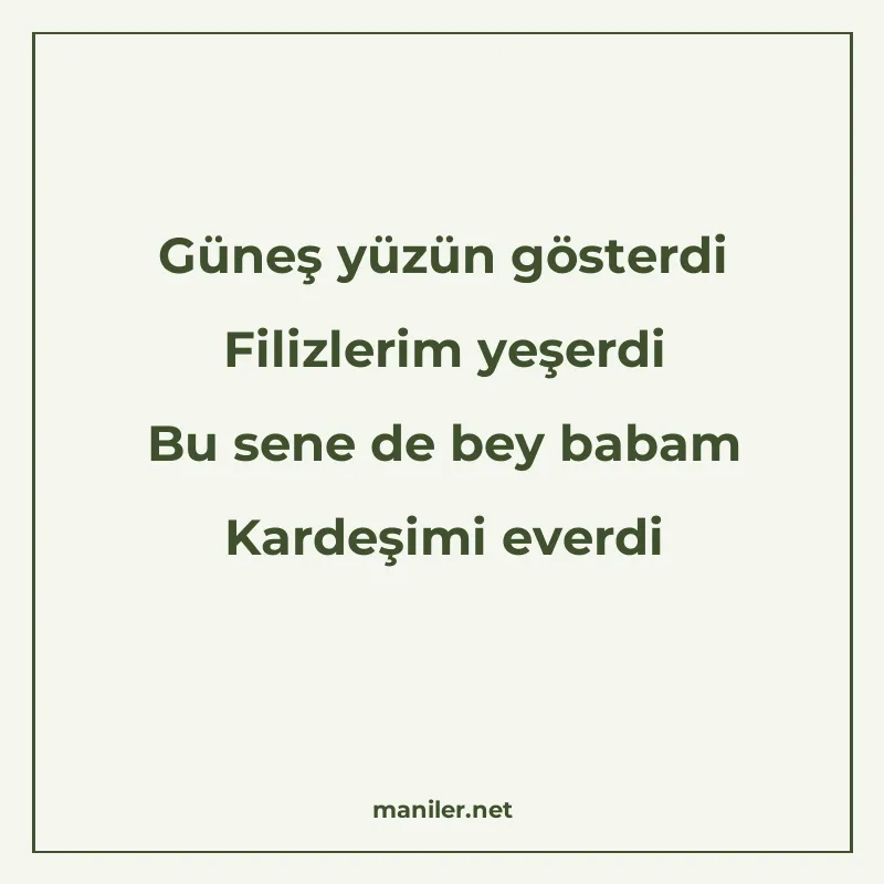Güneş yüzün gösterdi Filizlerim yeşerdi Bu sene de bey babam manisi görseli