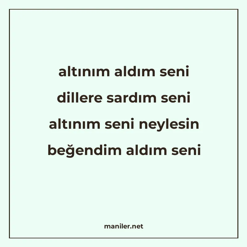 altınım aldım seni dillere sardım seni altınım seni neylesin manisi görseli