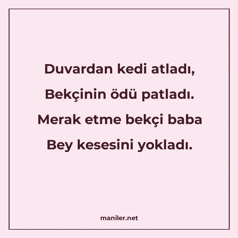 Duvardan kedi atladı, Bekçinin ödü patladı. Merak etme bekçi manisi görseli