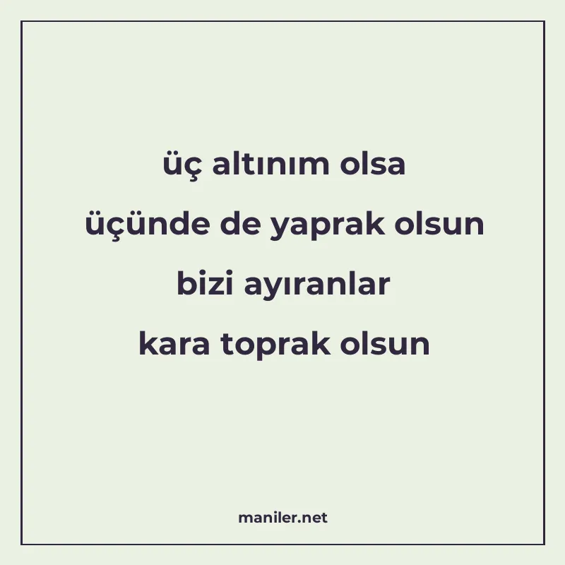 üç altınım olsa üçünde de yaprak olsun bizi ayıranlar kara t manisi görseli