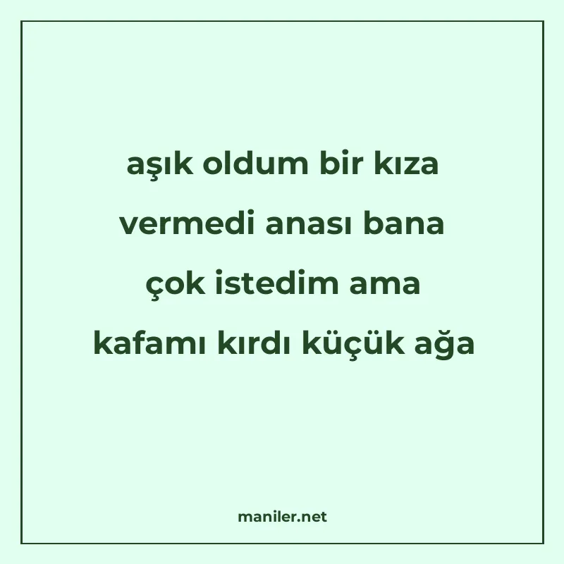 aşık oldum bir kıza vermedi anası bana çok istedim ama kafam manisi görseli