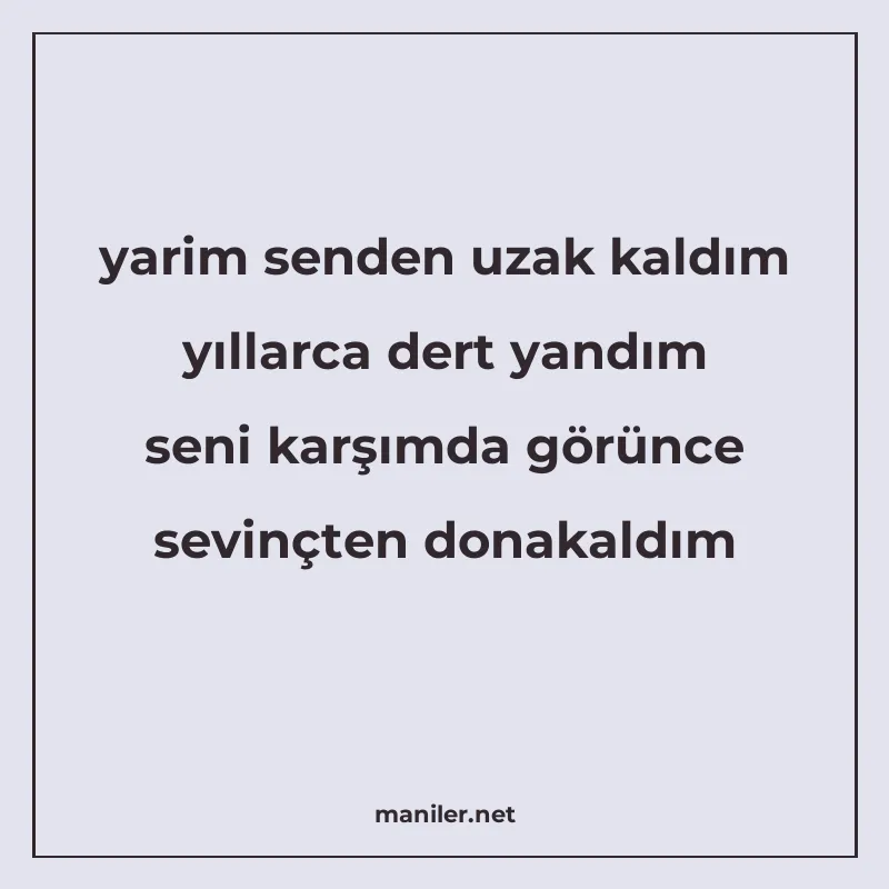 yarim senden uzak kaldım yıllarca dert yandım seni karşımda manisi görseli