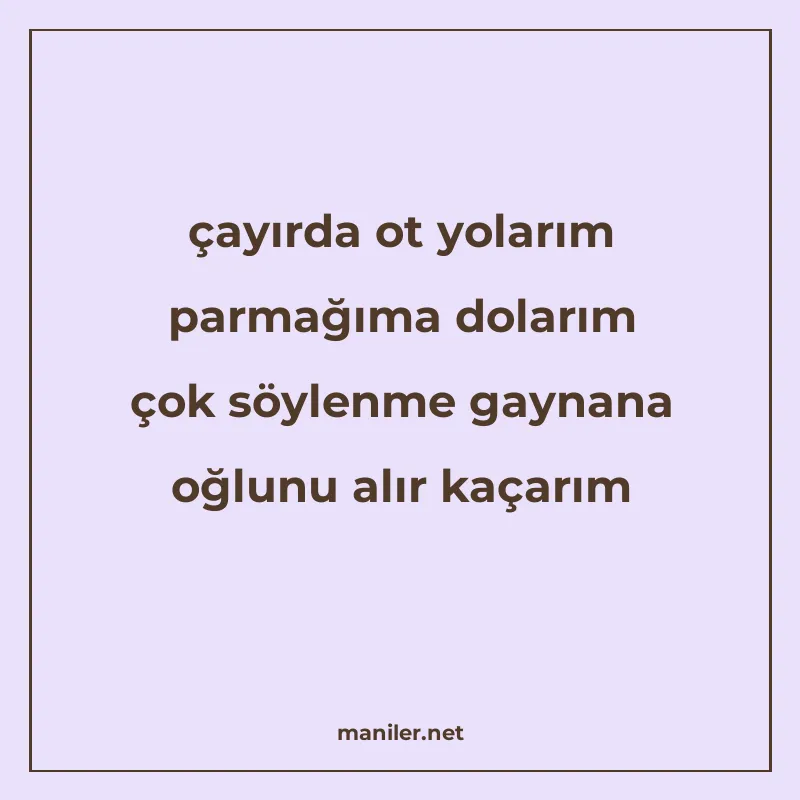 çayırda ot yolarım parmağıma dolarım çok söylenme gaynana oğ manisi görseli