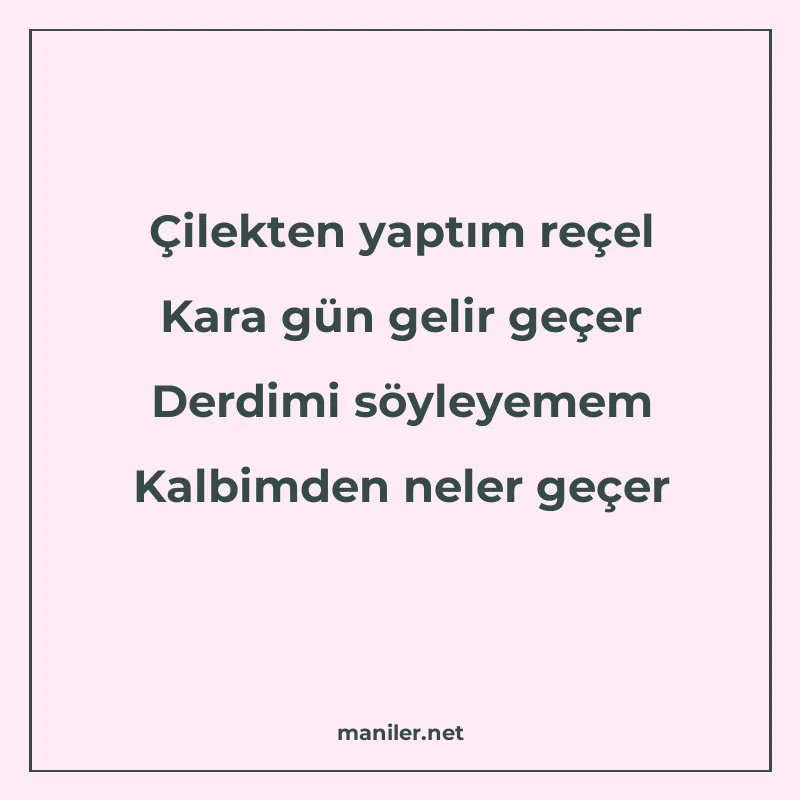 Çilekten yaptım reçel Kara gün gelir geçer Derdimi söyleyeme manisi görseli