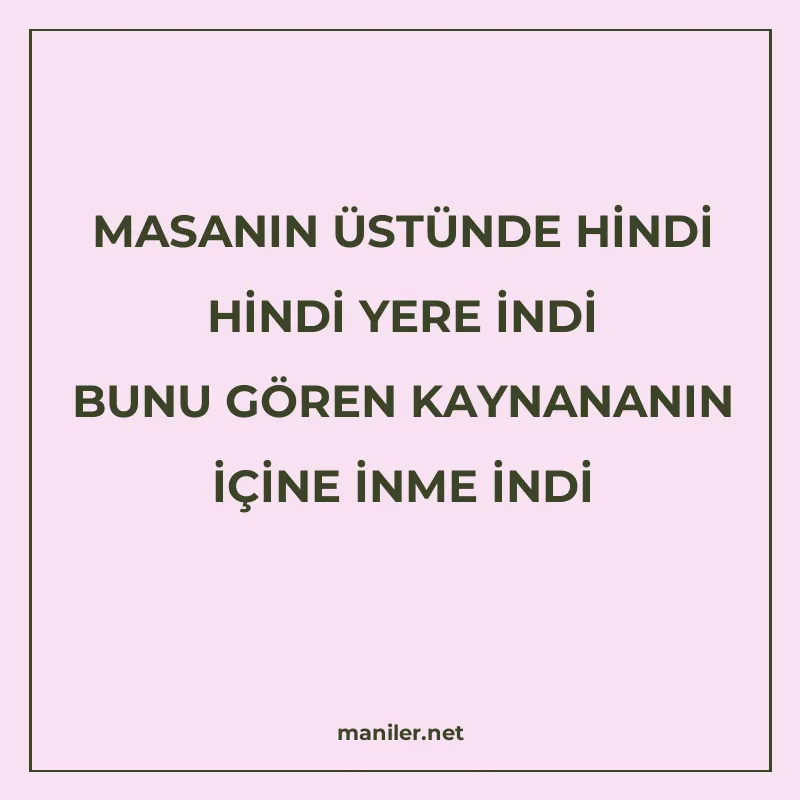 MASANIN ÜSTÜNDE HİNDİ HİNDİ YERE İNDİ BUNU GÖREN KAYNANANIN manisi görseli