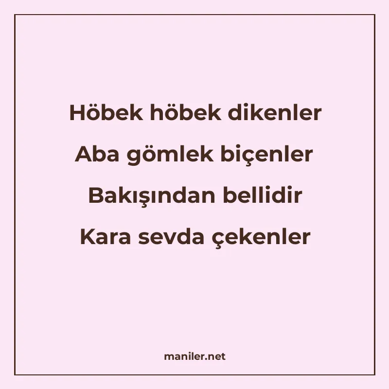 Höbek höbek dikenler Aba gömlek biçenler Bakışından bellidir manisi görseli