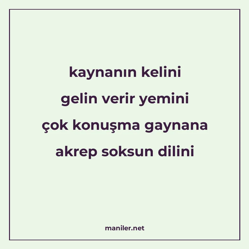kaynanın kelini gelin verir yemini çok konuşma gaynana akrep manisi görseli