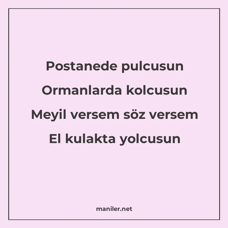 Postanede pulcusun Ormanlarda kolcusun Meyil versem söz vers manisi görseli