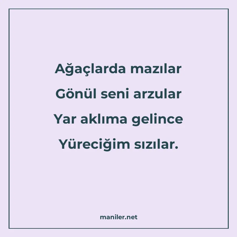 Ağaçlarda mazılar Gönül seni arzular Yar aklıma gelince Yüre manisi görseli