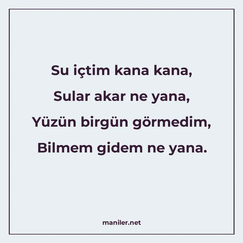 Su içtim kana kana, Sular akar ne yana, Yüzün birgün görmedi manisi görseli