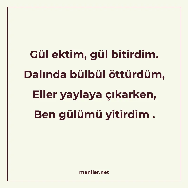 Gül ektim, gül bitirdim. Dalında bülbül öttürdüm, Eller yayl manisi görseli