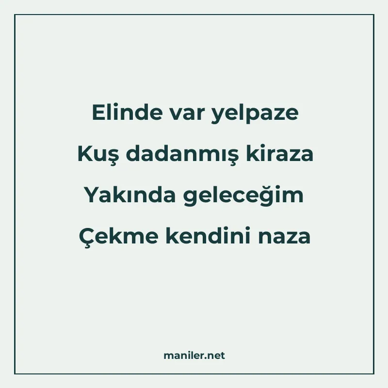 Elinde var yelpaze Kuş dadanmış kiraza Yakında geleceğim Çek manisi görseli