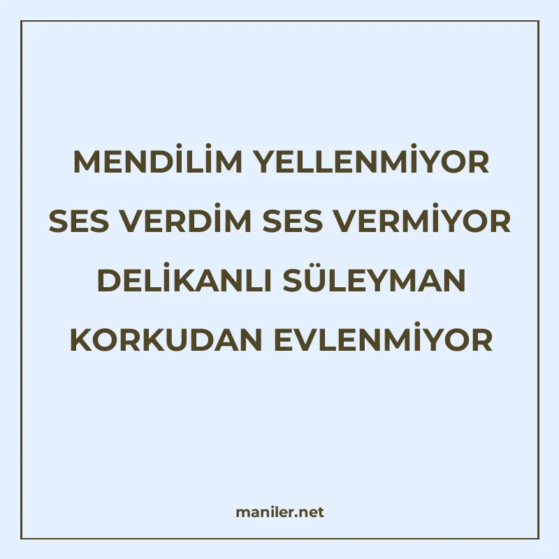 MENDİLİM YELLENMİYOR SES VERDİM SES VERMİYOR DELİKANLI SÜLEY manisi görseli