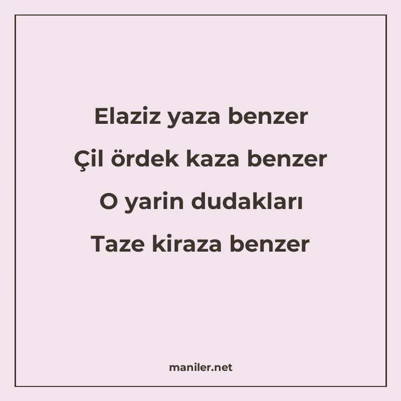 Elaziz yaza benzer Çil ördek kaza benzer O yarin dudakları T manisi görseli