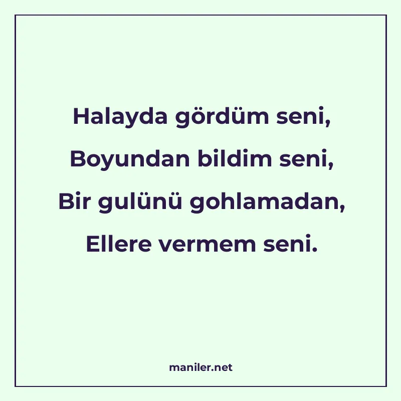 Halayda gördüm seni, Boyundan bildim seni, Bir gulünü gohlam manisi görseli