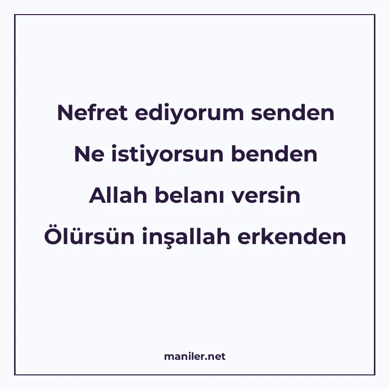 Nefret ediyorum senden Ne istiyorsun benden Allah belanı ver manisi görseli