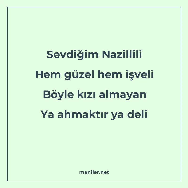Sevdiğim Nazillili Hem güzel hem işveli Böyle kızı almayan Y manisi görseli