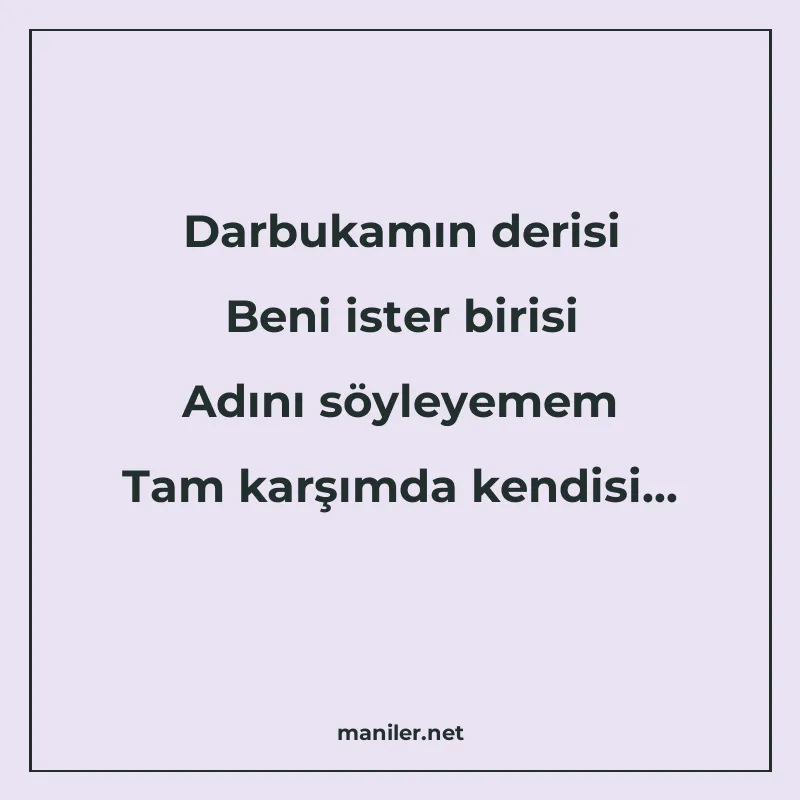 Darbukamın derisi Beni ister birisi Adını söyleyemem Tam kar manisi görseli