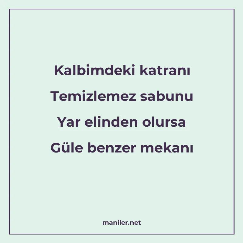 Kalbimdeki katranı Temizlemez sabunu Yar elinden olursa Güle manisi görseli