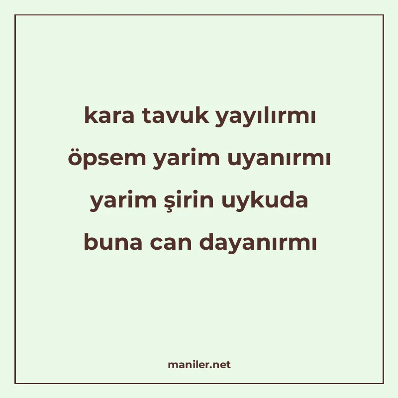 kara tavuk yayılırmı öpsem yarim uyanırmı yarim şirin uykuda manisi görseli