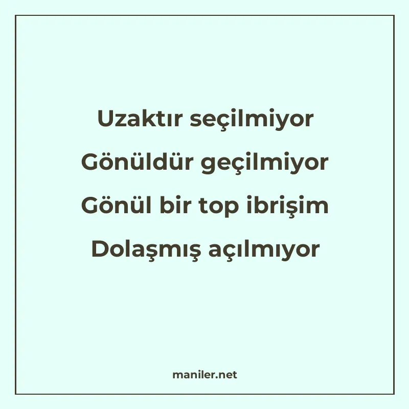 Uzaktır seçilmiyor Gönüldür geçilmiyor Gönül bir top ibrişim manisi görseli