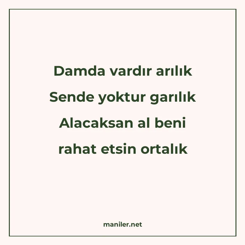 Damda vardır arılık Sende yoktur garılık Alacaksan al beni r manisi görseli