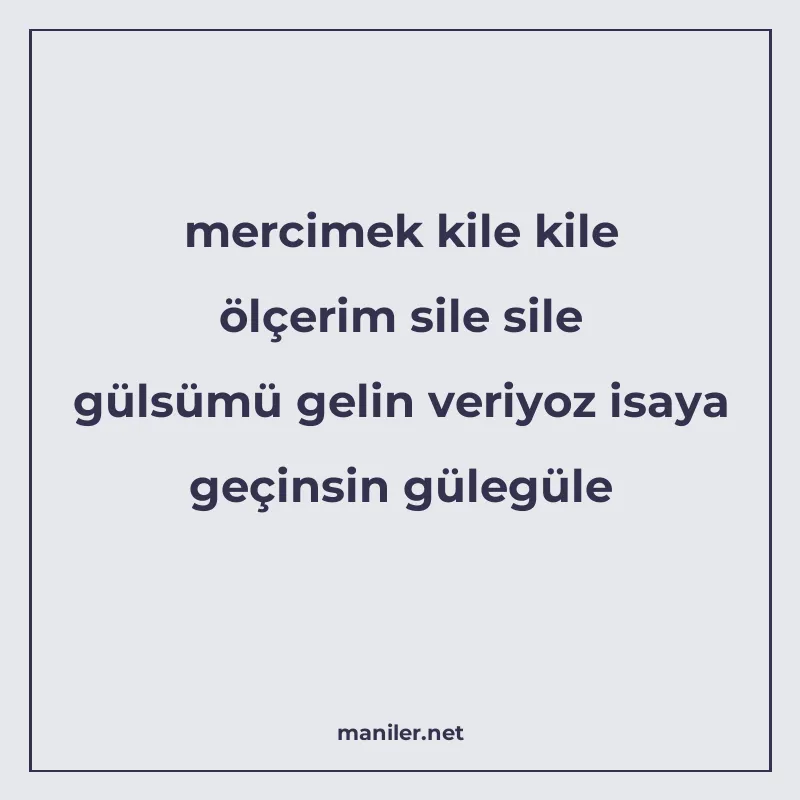 mercimek kile kile ölçerim sile sile gülsümü gelin veriyoz i manisi görseli
