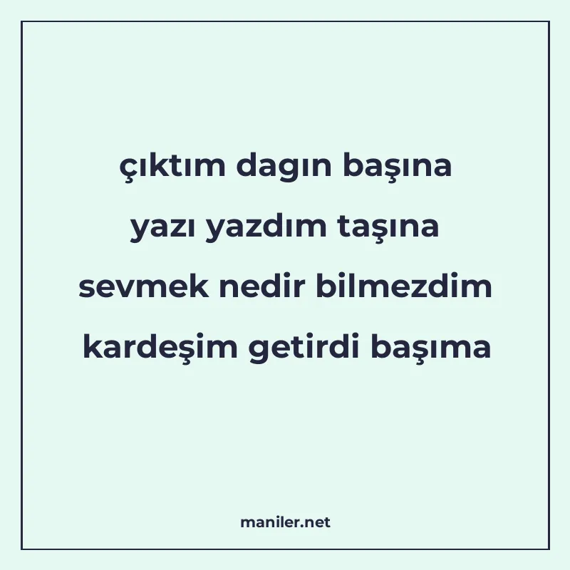 çıktım dagın başına yazı yazdım taşına sevmek nedir bilmezdi manisi görseli