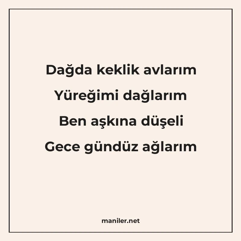 Dağda keklik avlarım Yüreğimi dağlarım Ben aşkına düşeli Gec manisi görseli