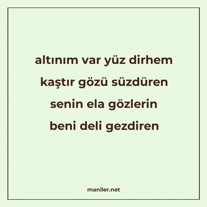 altınım var yüz dirhem kaştır gözü süzdüren senin ela gözler