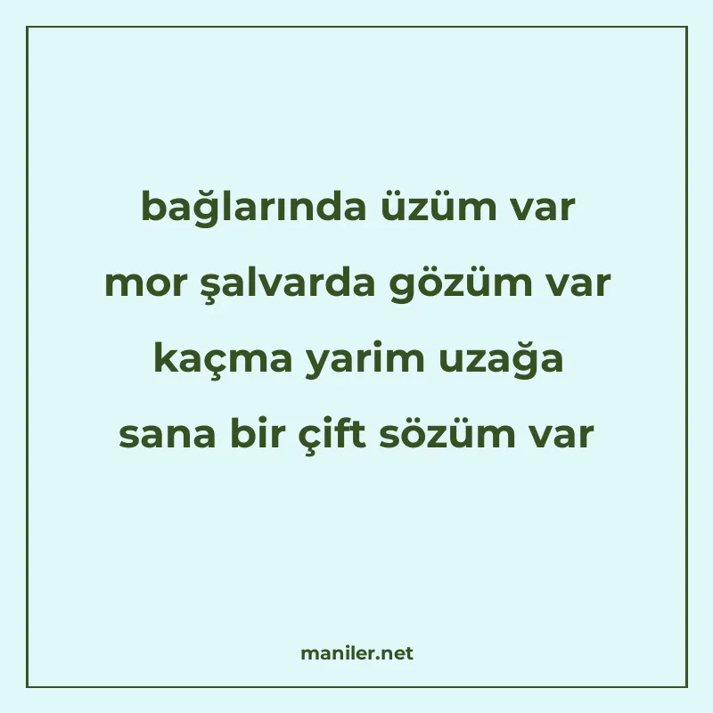 bağlarında üzüm var mor şalvarda gözüm var kaçma yarim uzağa manisi görseli