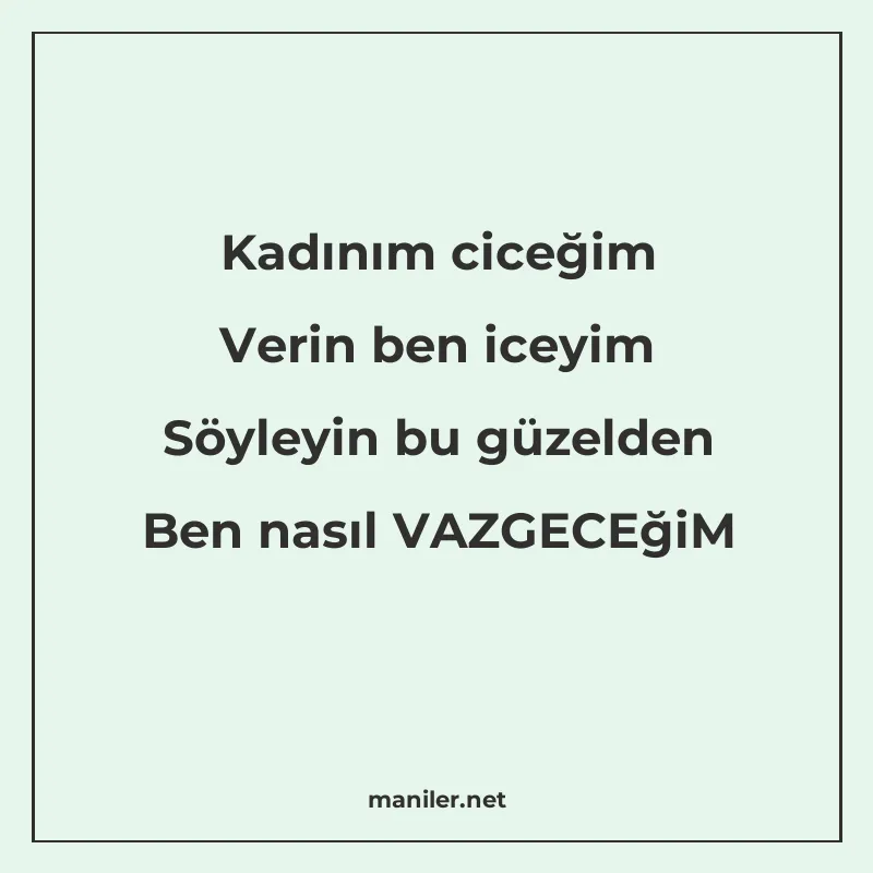 Kadınım ciceğim Verin ben iceyim Söyleyin bu güzelden Ben na manisi görseli