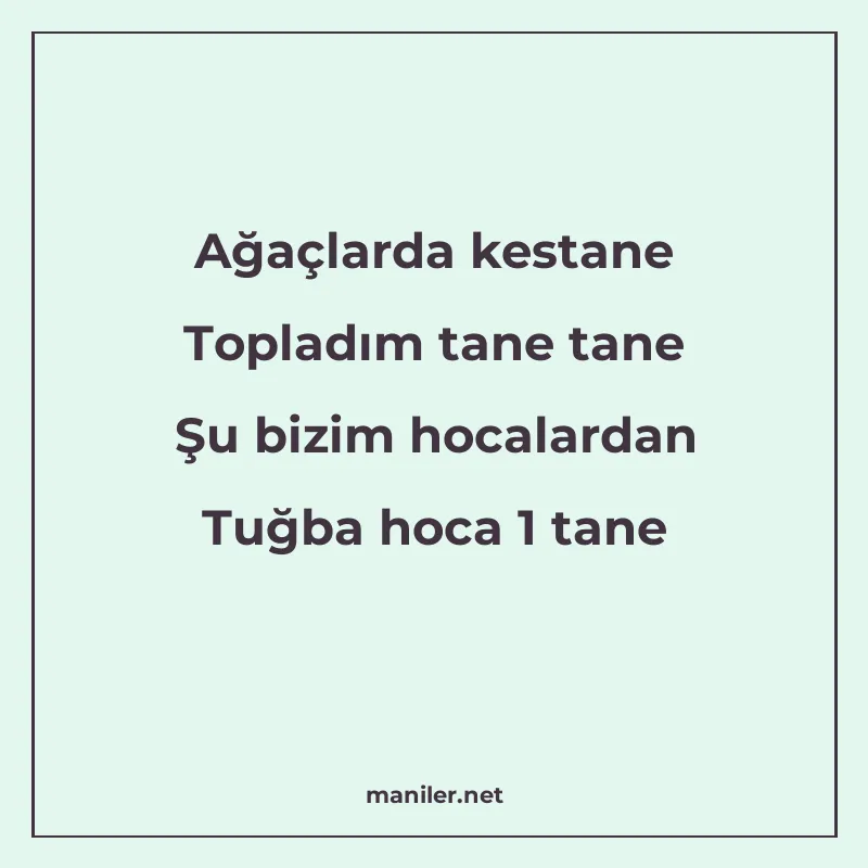Ağaçlarda kestane Topladım tane tane Şu bizim hocalardan Tuğ manisi görseli