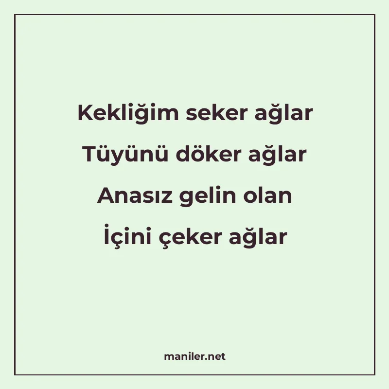 Kekliğim seker ağlar Tüyünü döker ağlar Anasız gelin olan İç manisi görseli